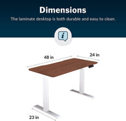 Electric Standing Desk 48" x 24" Ergonomic Sit to Stand Raising Desk for Home Office - Adjustable Height Desk with Split Top