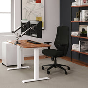 Electric Standing Desk 48" x 24" Ergonomic Sit to Stand Raising Desk for Home Office - Adjustable Height Desk with Split Top